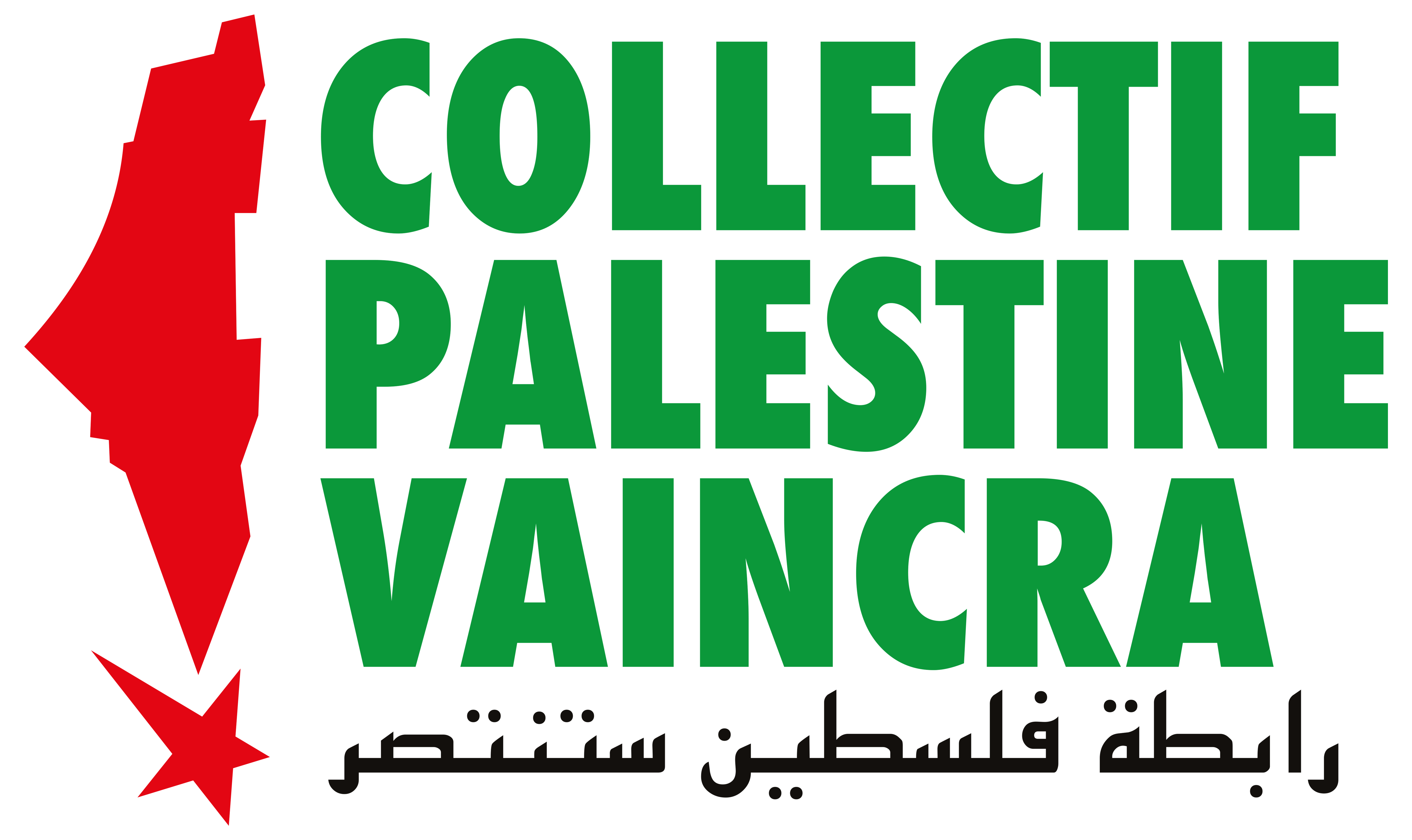 Palestine Vaincra