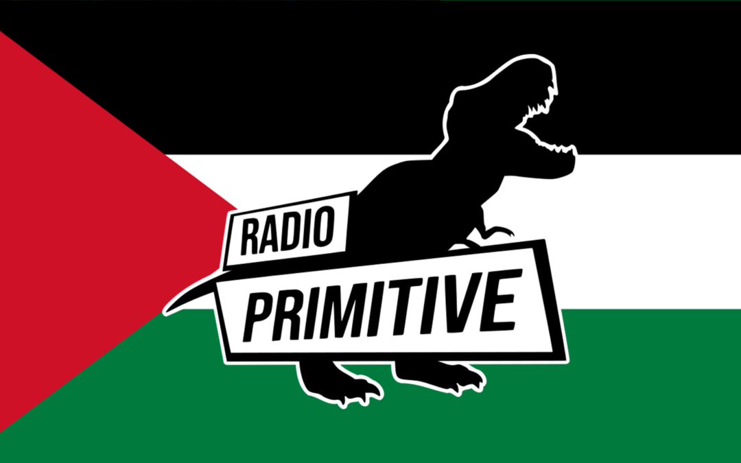 Emission de radio avec le Collectif Palestine Vaincra sur la solidarité avec la Palestine et sa criminalisation