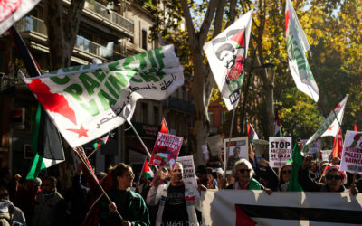 Des milliers de personnes manifestent à Toulouse en soutien au peuple palestinien