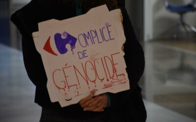 Des dizaines d’actions #BoycottCarrefour partout en France !